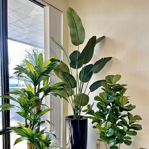 Meet your Posher, Chi